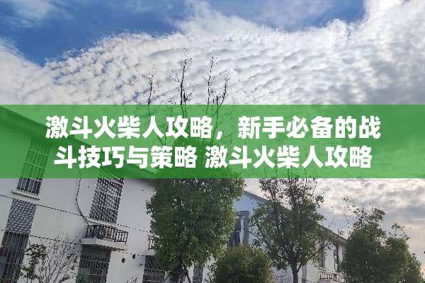 激斗火柴人攻略，新手必备的战斗技巧与策略 激斗火柴人攻略
