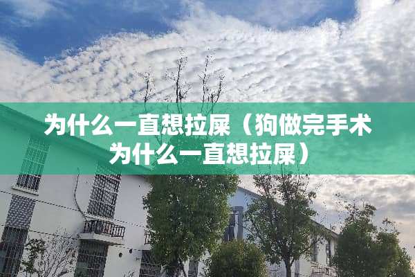 为什么一直想拉屎（狗做完手术为什么一直想拉屎）