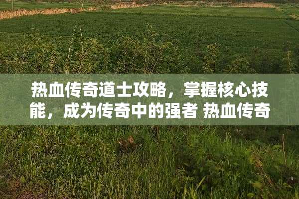 热血传奇道士攻略,掌握核心技能,成为传奇中的强者 热血传奇道士攻略 热血传奇道士攻略,掌握核心技能,成为传奇中的强者 热血传奇道士攻略