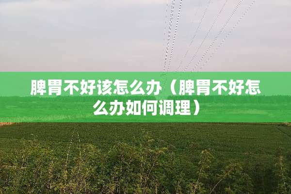 脾胃不好该怎么办(脾胃不好怎么办如何调理) 脾胃不好该怎么办(脾胃不好怎么办如何调理)