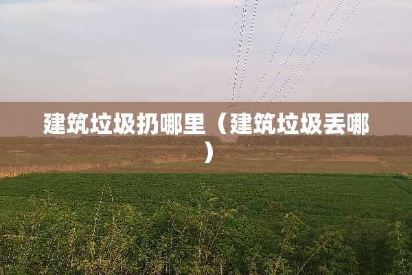 建筑垃圾扔哪里（建筑垃圾丢哪）