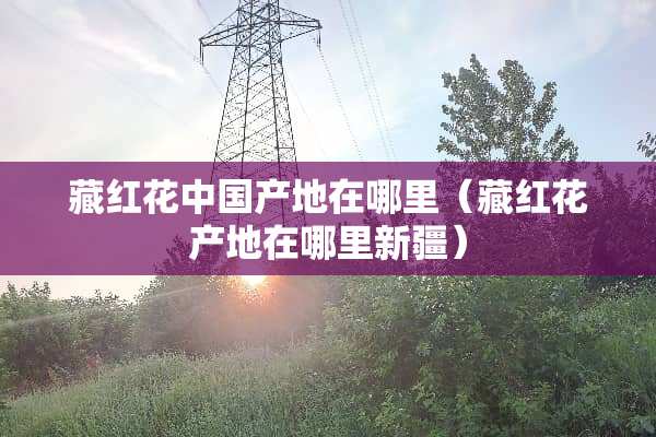 藏红花中国产地在哪里（藏红花产地在哪里新疆）