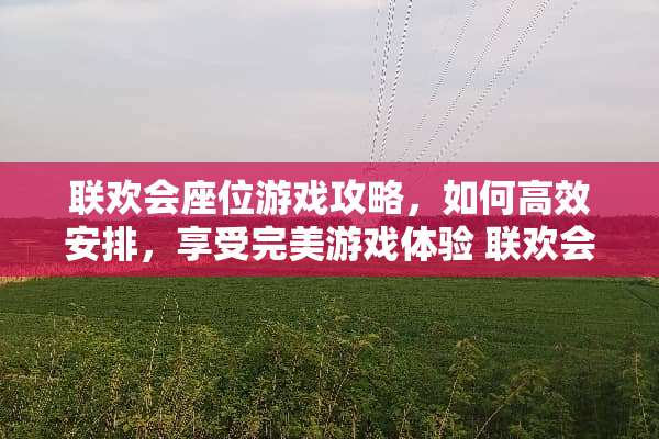 联欢会座位游戏攻略，如何高效安排，享受完美游戏体验 联欢会座位游戏攻略