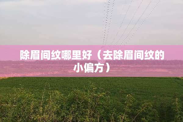 除眉间纹哪里好（去除眉间纹的小偏方）