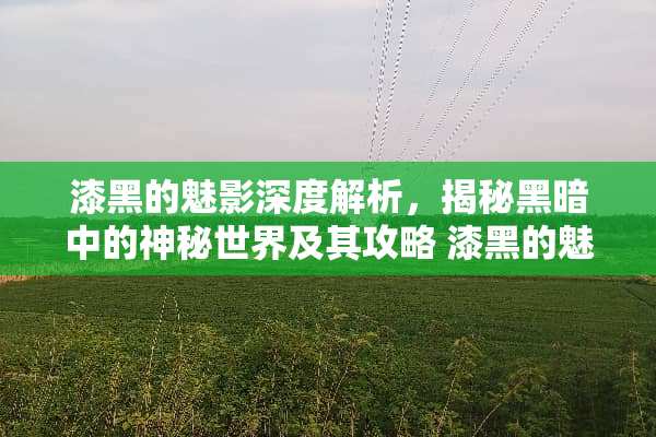 漆黑的魅影深度解析，揭秘黑暗中的神秘世界及其攻略 漆黑的魅影图文攻略