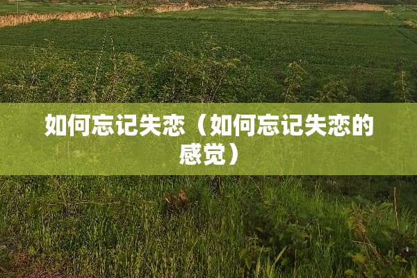 如何忘记失恋（如何忘记失恋的感觉）