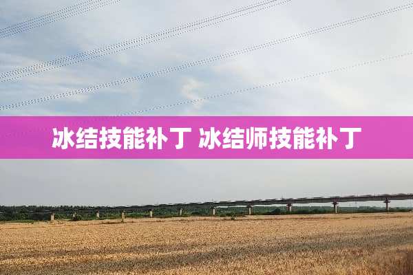 冰结技能补丁 冰结师技能补丁 冰结技能补丁 冰结师技能补丁