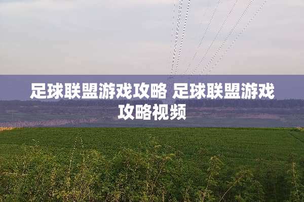 **联盟游戏攻略**联盟游戏攻略视频