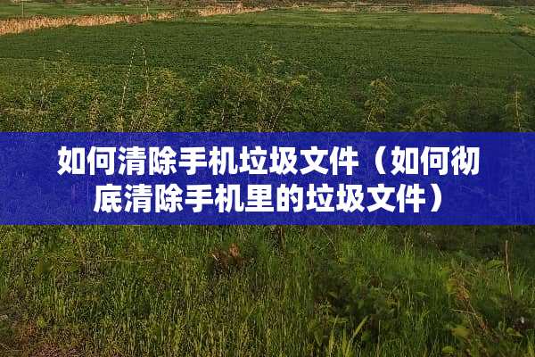 如何清除手机垃圾文件（如何彻底清除手机里的垃圾文件）