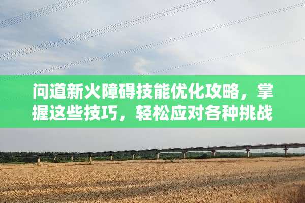 问道新火障碍技能优化攻略，掌握这些技巧，轻松应对各种挑战 问道新火障碍技能