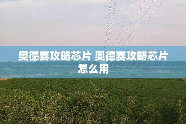 奥德赛攻略芯片 奥德赛攻略芯片怎么用