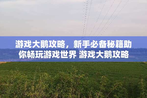 游戏大鹅攻略，新手必备秘籍助你畅玩游戏世界 游戏大鹅攻略