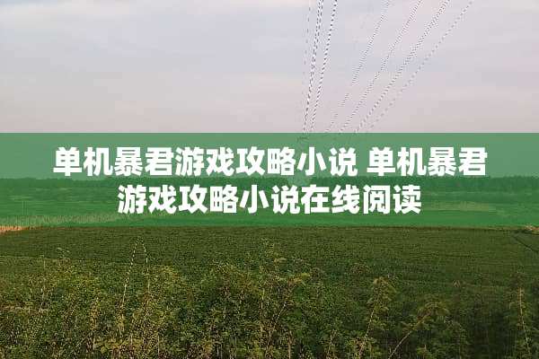 单机暴君游戏攻略小说 单机暴君游戏攻略小说在线阅读 单机暴君游戏攻略小说 单机暴君游戏攻略小说在线阅读
