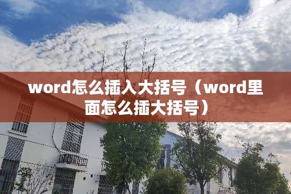 word怎么插入大括号（word里面怎么插大括号）