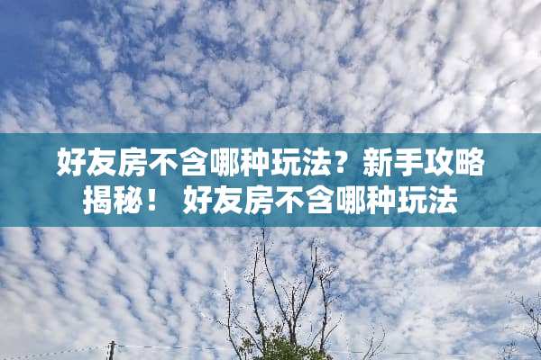 好友房不含哪种玩法？新手攻略揭秘！ 好友房不含哪种玩法
