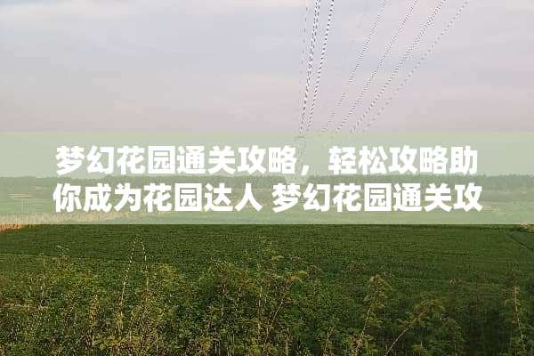 梦幻花园通关攻略，轻松攻略助你成为花园达人 梦幻花园通关攻略