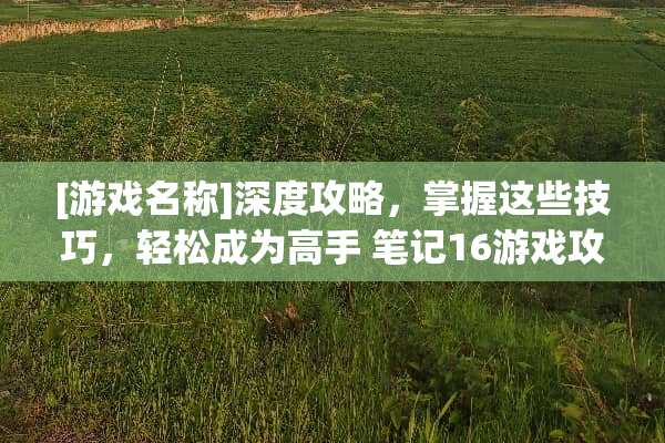 [游戏名称]深度攻略，掌握这些技巧，轻松成为高手 笔记16游戏攻略
