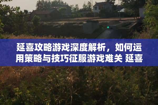 延喜攻略游戏深度解析，如何运用策略与技巧征服游戏难关 延喜攻略游戏