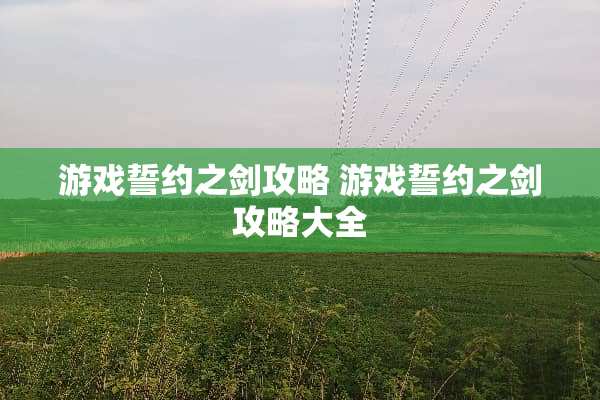 游戏誓约之剑攻略 游戏誓约之剑攻略大全