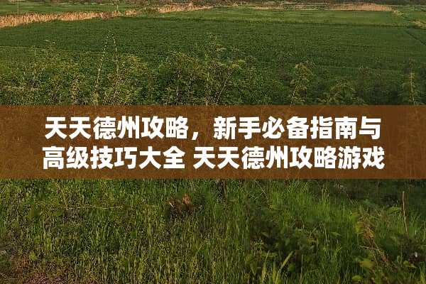 天天德州攻略，新手必备指南与高级技巧大全 天天德州攻略游戏推荐