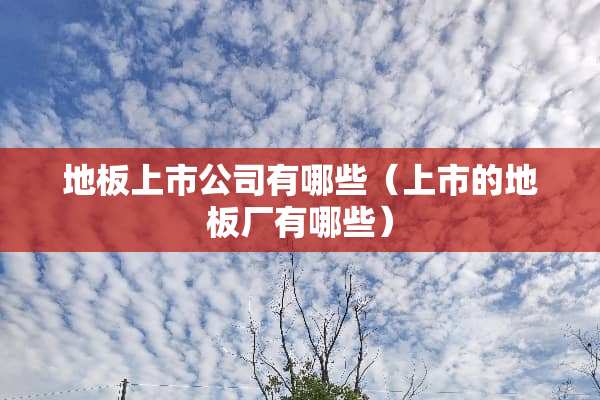 地板上市公司有哪些（上市的地板厂有哪些）