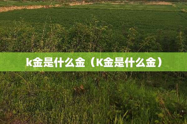 k金是什么金（K金是什么金）