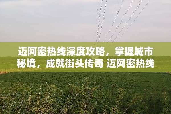 迈阿密热线深度攻略，掌握城市秘境，成就街头传奇 迈阿密热线攻略