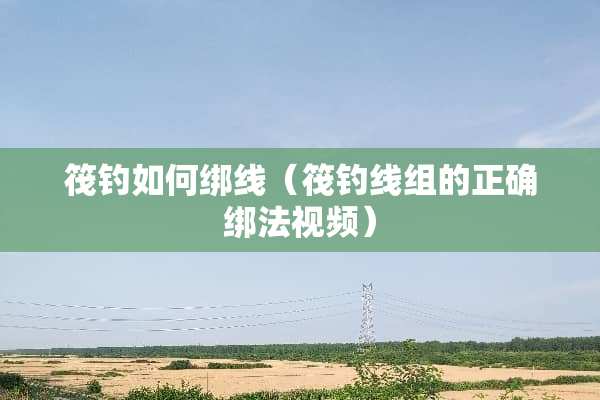 筏钓如何绑线(筏钓线组的正确绑法视频) 筏钓如何绑线(筏钓线组的正确绑法视频)