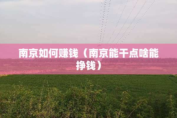 南京如何赚钱（南京能干点啥能挣钱）