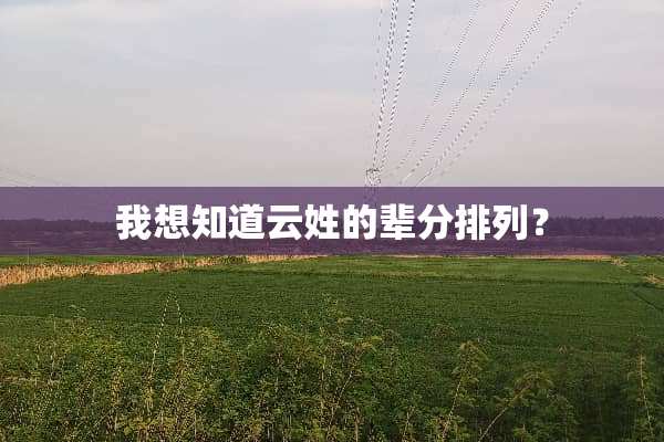 我想知道云姓的辈分排列？