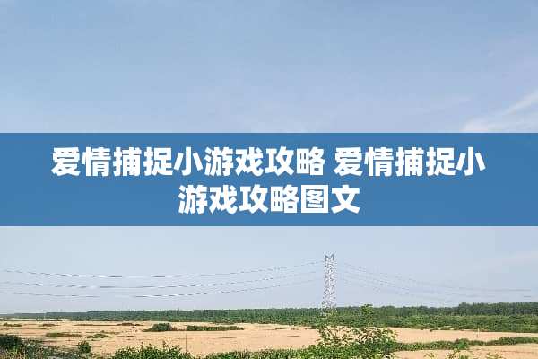 爱情捕捉小游戏攻略 爱情捕捉小游戏攻略图文