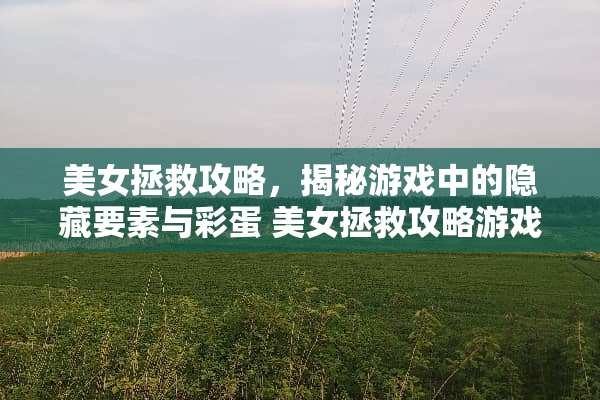 美女拯救攻略，揭秘游戏中的隐藏要素与彩蛋 美女拯救攻略游戏