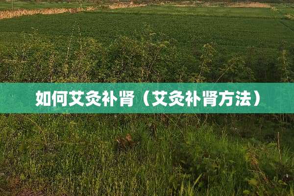 如何艾灸补肾（艾灸补肾方法）