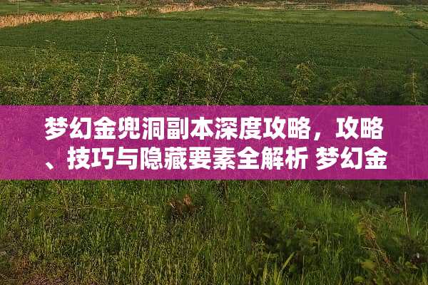 梦幻金兜洞副本深度攻略，攻略、技巧与隐藏要素全解析 梦幻金兜洞副本攻略