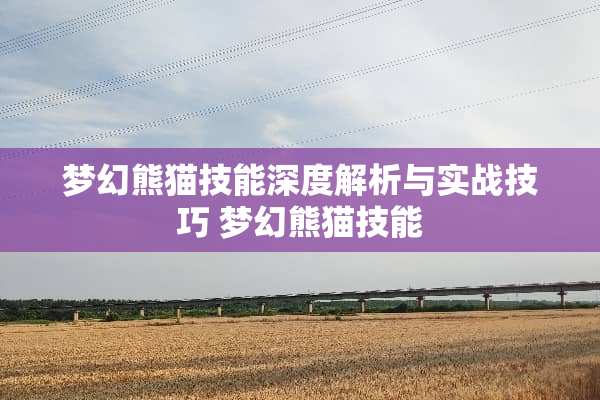 梦幻熊猫技能深度解析与实战技巧 梦幻熊猫技能 梦幻熊猫技能深度解析与实战技巧 梦幻熊猫技能