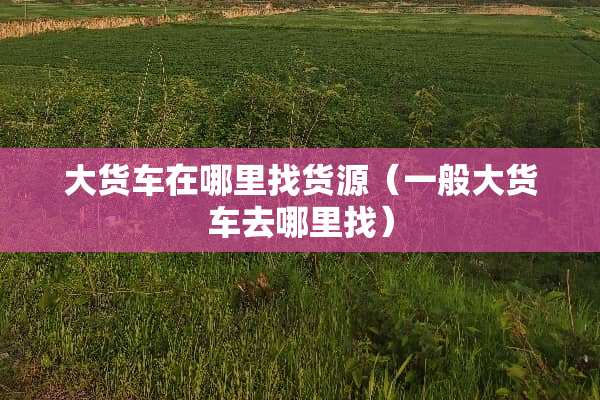 大货车在***货源(一般大货车去***) 大货车在***货源(一般大货车去***)