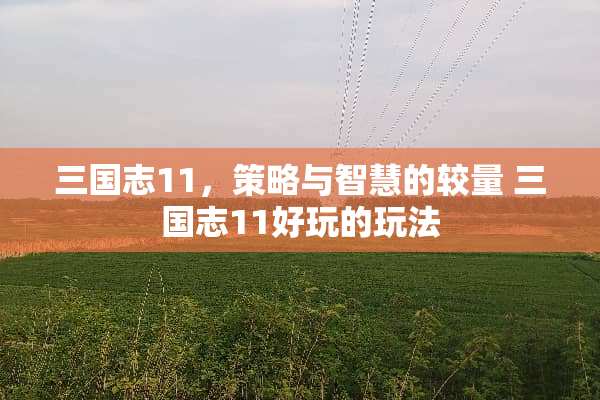 三国志11，策略与智慧的较量 三国志11好玩的玩法