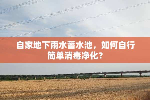 自家**雨水蓄水池，如何自行简单消毒净化？
