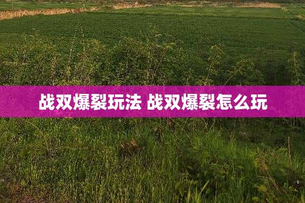 战双爆裂玩法 战双爆裂怎么玩 战双爆裂玩法 战双爆裂怎么玩