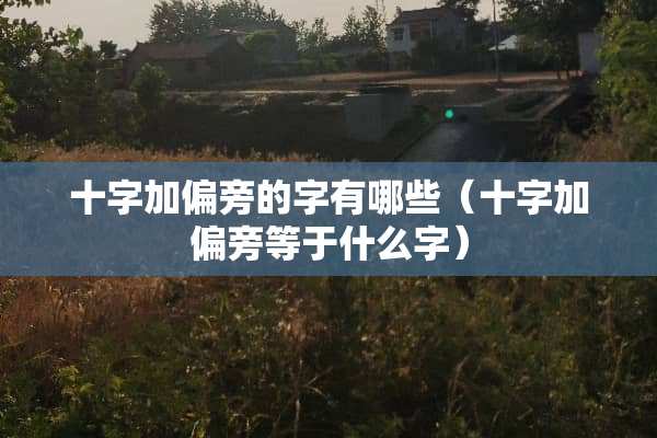 十字加偏旁的字有哪些(十字加偏旁等于什么字) 十字加偏旁的字有哪些(十字加偏旁等于什么字)