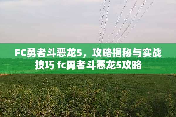 FC勇者斗恶龙5，攻略揭秘与实战技巧 fc勇者斗恶龙5攻略
