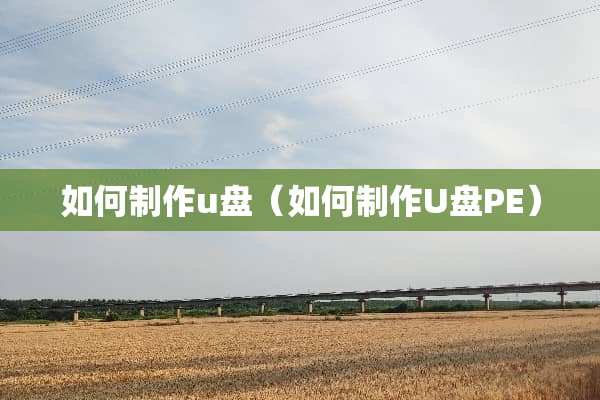 如何制作u盘(如何制作U盘PE) 如何制作u盘(如何制作U盘PE)