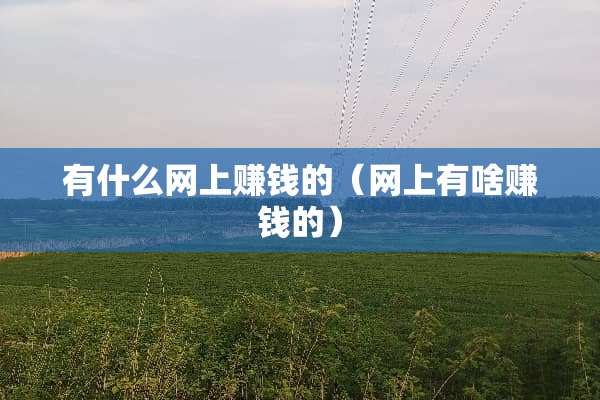 有什么网上赚钱的(网上有啥赚钱的) 有什么网上赚钱的(网上有啥赚钱的)