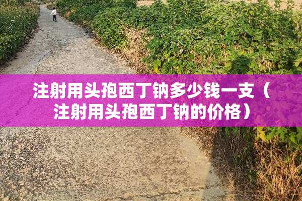 注射用头孢西丁钠多少钱一支(注射用头孢西丁钠的价格) 注射用头孢西丁钠多少钱一支(注射用头孢西丁钠的价格)