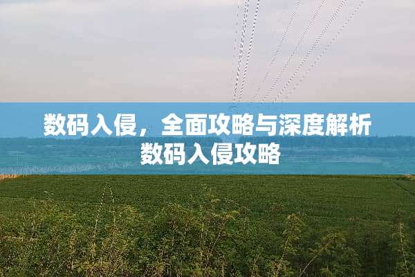 数码入侵,全面攻略与深度解析 数码入侵攻略 数码入侵,全面攻略与深度解析 数码入侵攻略