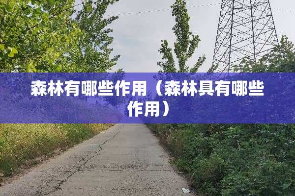 森林有哪些作用（森林具有哪些作用）