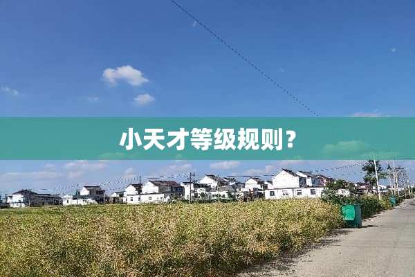 小天才等级规则？