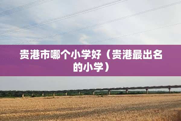 贵港市哪个小学好（贵港最出名的小学）