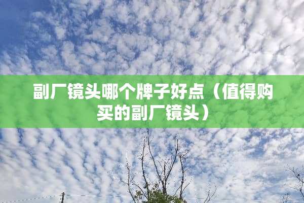 副厂镜头哪个牌子好点（值得购买的副厂镜头）