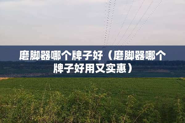 磨脚器哪个牌子好(磨脚器哪个牌子好用又实惠) 磨脚器哪个牌子好(磨脚器哪个牌子好用又实惠)